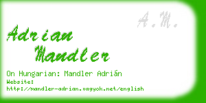adrian mandler business card